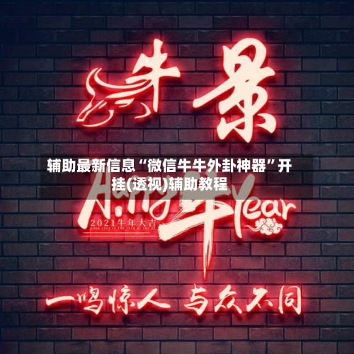 辅助最新信息“微信牛牛外卦神器”开挂(透视)辅助教程-第1张图片