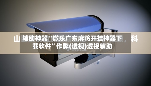 辅助神器“微乐广东麻将开挂神器下载软件”作弊(透视)透视辅助-第2张图片