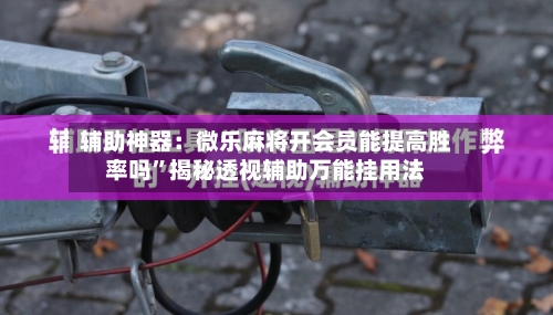 辅助神器：微乐麻将开会员能提高胜率吗	”揭秘透视辅助万能挂用法-第2张图片