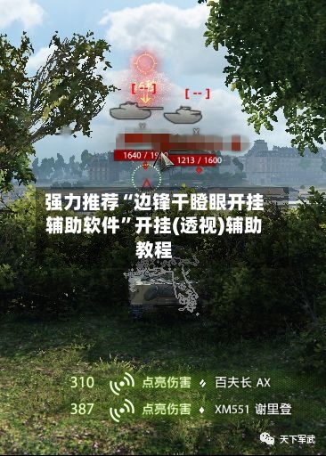 强力推荐“边锋干瞪眼开挂辅助软件”开挂(透视)辅助教程-第2张图片