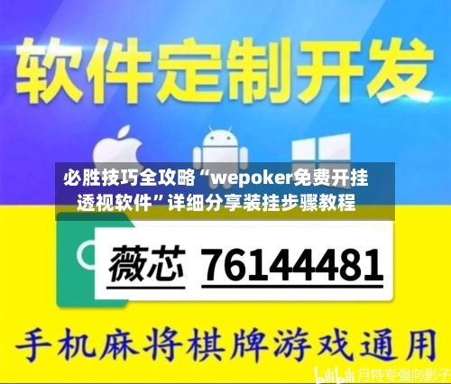 必胜技巧全攻略“wepoker免费开挂透视软件”详细分享装挂步骤教程-第3张图片