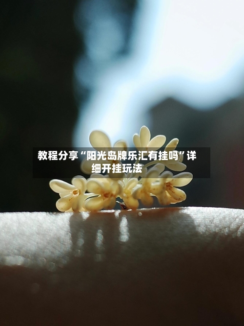 教程分享“阳光岛牌乐汇有挂吗”详细开挂玩法-第1张图片