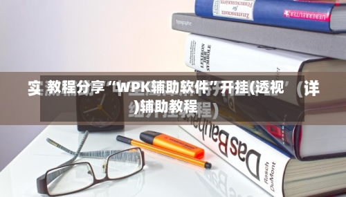 教程分享“WPK辅助软件”开挂(透视)辅助教程-第1张图片