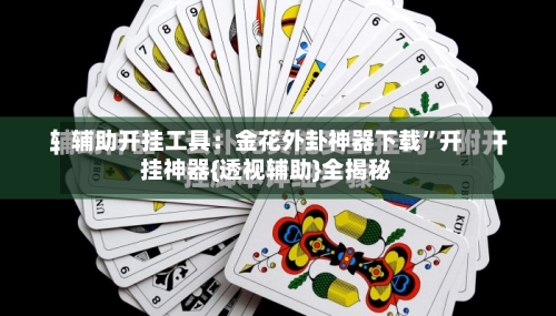 辅助开挂工具：金花外卦神器下载”开挂神器{透视辅助}全揭秘-第1张图片