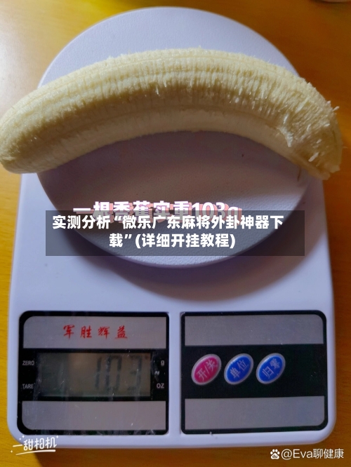 实测分析“微乐广东麻将外卦神器下载”(详细开挂教程)-第2张图片