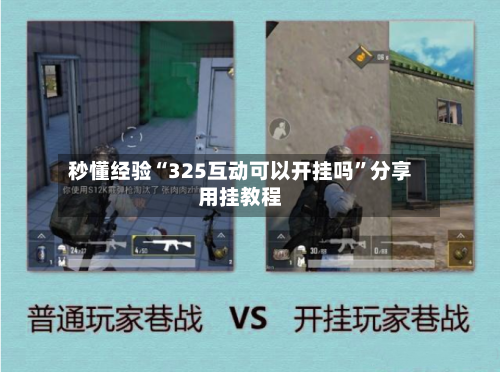 秒懂经验“325互动可以开挂吗”分享用挂教程-第2张图片