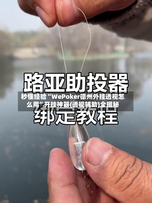 秒懂经验“WePoker德州外挂透视怎么用	”开挂神器{透视辅助}全揭秘-第3张图片