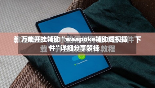 万能开挂辅助“waapoke辅助透视插件”详细分享装挂-第3张图片