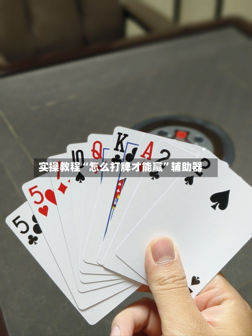 实操教程“怎么打牌才能赢”辅助器-第2张图片