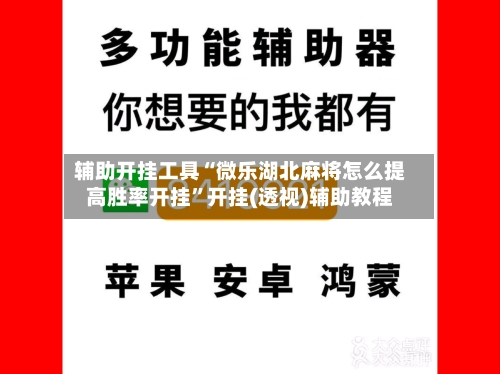 辅助开挂工具“微乐湖北麻将怎么提高胜率开挂”开挂(透视)辅助教程-第2张图片