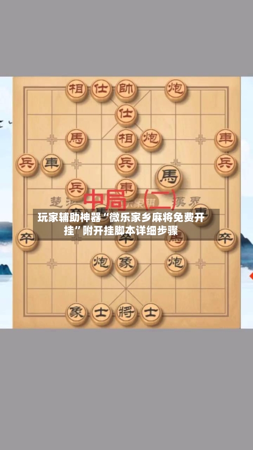 玩家辅助神器“微乐家乡麻将免费开挂”附开挂脚本详细步骤-第2张图片