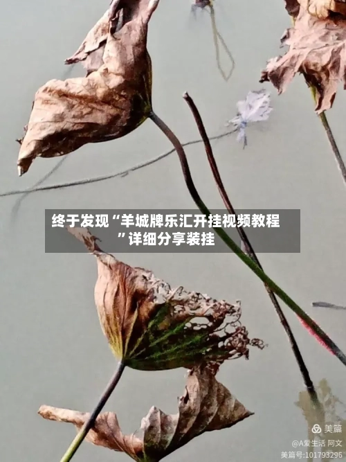 终于发现“羊城牌乐汇开挂视频教程”详细分享装挂-第1张图片