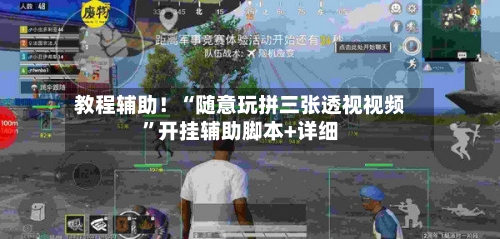 教程辅助！“随意玩拼三张透视视频	”开挂辅助脚本+详细-第1张图片