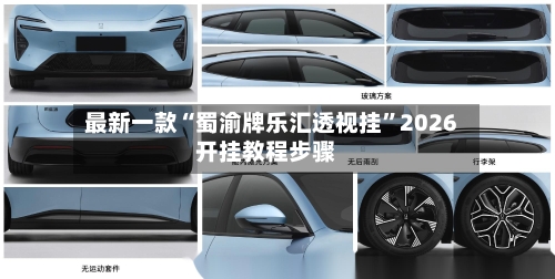 最新一款“蜀渝牌乐汇透视挂”2026开挂教程步骤-第2张图片