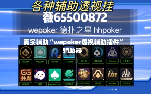 真实辅助“wepoker透视辅助插件”辅助器-第2张图片