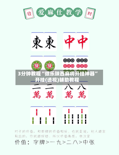 3分钟教程“微乐陕西麻将开挂神器”开挂(透视)辅助教程-第2张图片