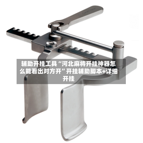 辅助开挂工具“河北麻将开挂神器怎么能看出对方开”开挂辅助脚本+详细开挂-第1张图片