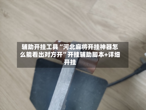 辅助开挂工具“河北麻将开挂神器怎么能看出对方开”开挂辅助脚本+详细开挂-第2张图片