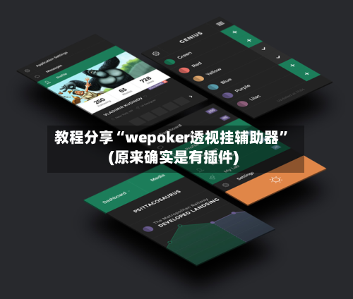 教程分享“wepoker透视挂辅助器”(原来确实是有插件)-第2张图片