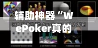 辅助神器“WePoker真的能透视吗”详细分享装挂步骤-第2张图片