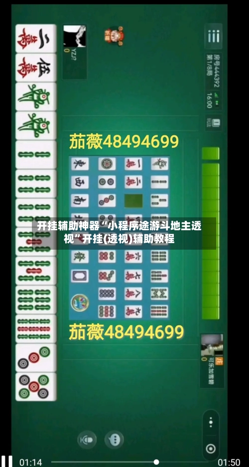 开挂辅助神器“小程序途游斗地主透视”开挂(透视)辅助教程-第3张图片