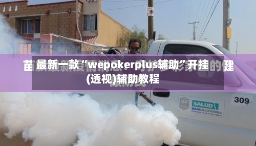 最新一款“wepokerplus辅助”开挂(透视)辅助教程-第1张图片