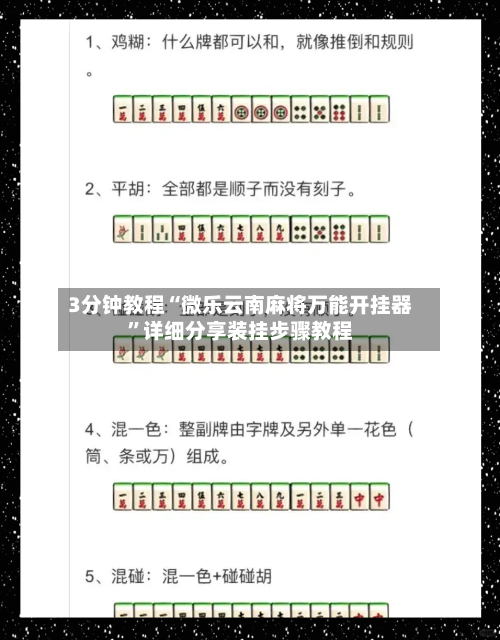 3分钟教程“微乐云南麻将万能开挂器”详细分享装挂步骤教程-第2张图片