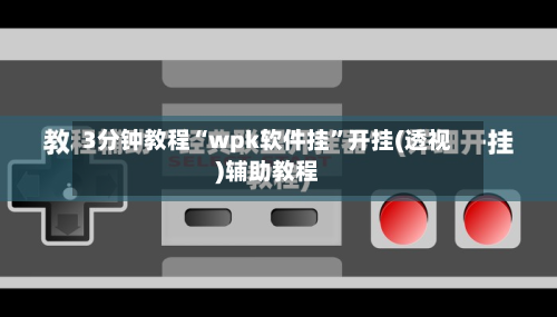 3分钟教程“wpk软件挂”开挂(透视)辅助教程-第1张图片