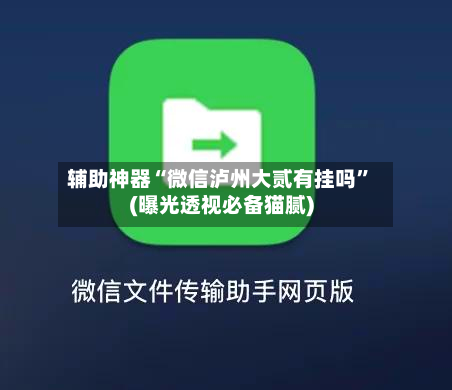 辅助神器“微信泸州大贰有挂吗”(曝光透视必备猫腻)-第2张图片