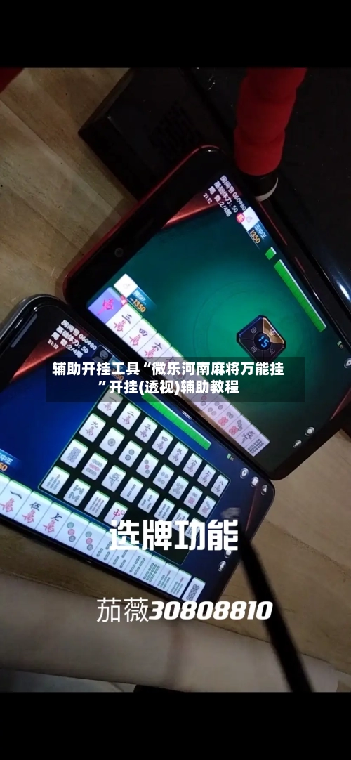 辅助开挂工具“微乐河南麻将万能挂	”开挂(透视)辅助教程-第2张图片