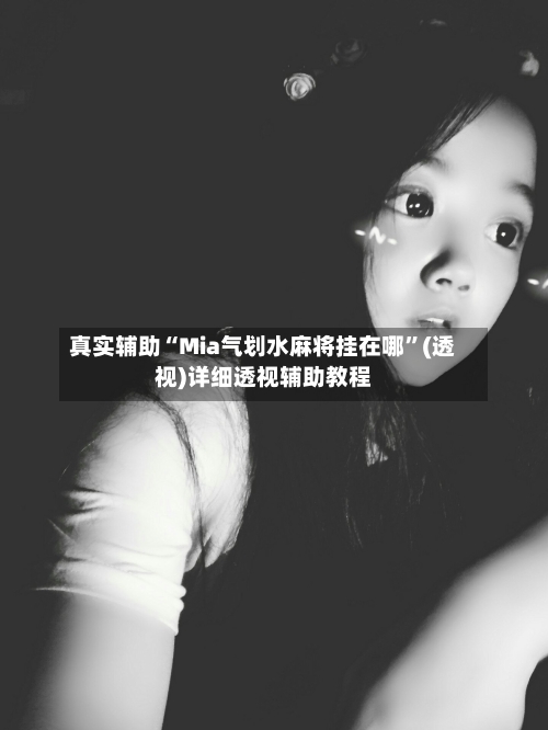 真实辅助“Mia气划水麻将挂在哪”(透视)详细透视辅助教程-第1张图片