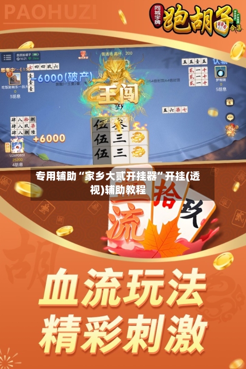 专用辅助“家乡大贰开挂器”开挂(透视)辅助教程-第2张图片