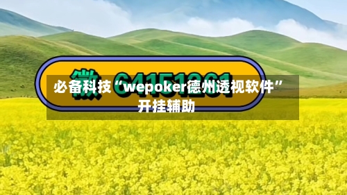 必备科技“wepoker德州透视软件	”开挂辅助-第2张图片
