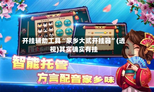 开挂辅助工具“家乡大贰开挂器”(透视)其实确实有挂-第2张图片