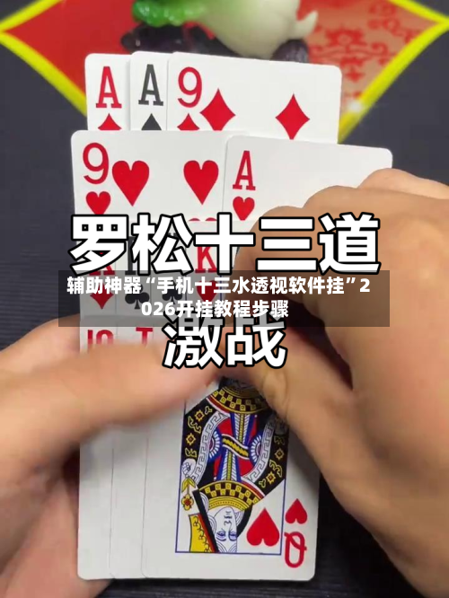 辅助神器“手机十三水透视软件挂”2026开挂教程步骤-第1张图片