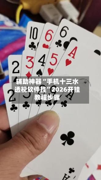 辅助神器“手机十三水透视软件挂”2026开挂教程步骤-第3张图片