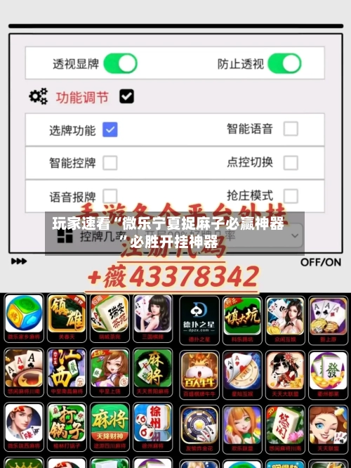 玩家速看“微乐宁夏捉麻子必赢神器”必胜开挂神器-第2张图片