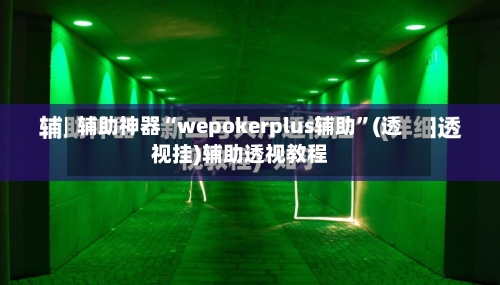 辅助神器“wepokerplus辅助”(透视挂)辅助透视教程-第2张图片