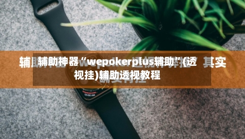 辅助神器“wepokerplus辅助”(透视挂)辅助透视教程-第3张图片