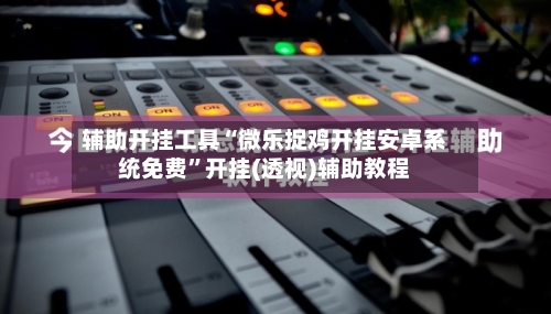 辅助开挂工具“微乐捉鸡开挂安卓系统免费	”开挂(透视)辅助教程-第2张图片