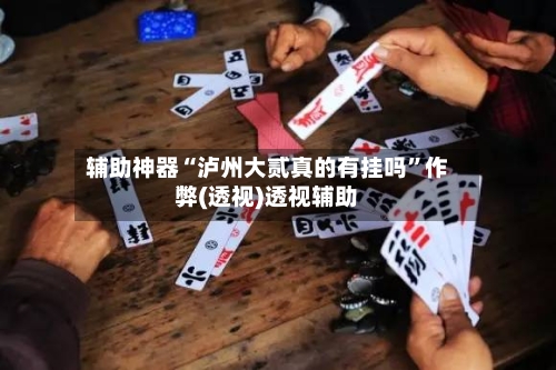 辅助神器“泸州大贰真的有挂吗”作弊(透视)透视辅助-第1张图片