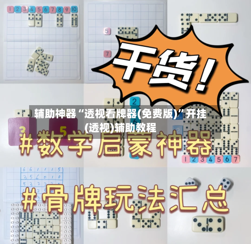 辅助神器“透视看牌器(免费版)”开挂(透视)辅助教程-第1张图片