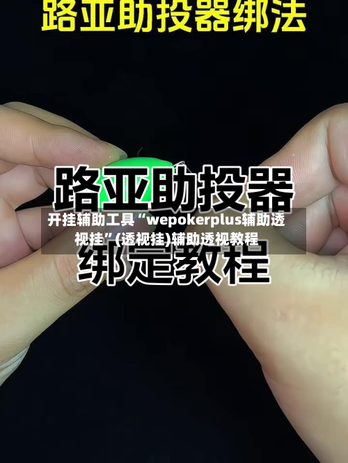 开挂辅助工具“wepokerplus辅助透视挂”(透视挂)辅助透视教程-第1张图片