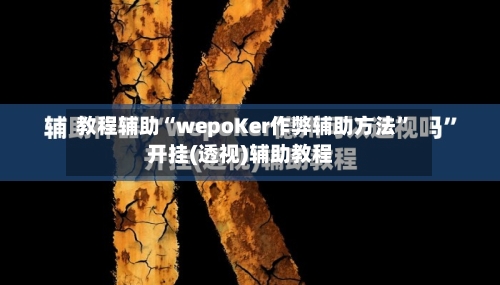教程辅助“wepoKer作弊辅助方法”开挂(透视)辅助教程-第2张图片