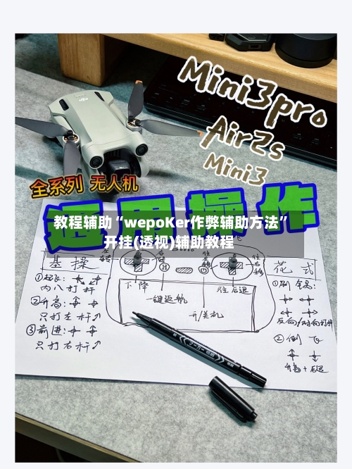 教程辅助“wepoKer作弊辅助方法”开挂(透视)辅助教程-第3张图片