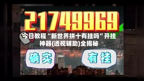 今日教程“新世界拼十有挂吗”开挂神器{透视辅助}全揭秘-第3张图片