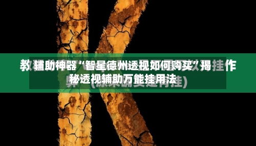 辅助神器“智星德州透视如何购买”揭秘透视辅助万能挂用法-第1张图片