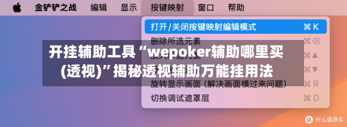 开挂辅助工具“wepoker辅助哪里买(透视)”揭秘透视辅助万能挂用法-第1张图片
