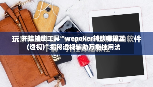 开挂辅助工具“wepoker辅助哪里买(透视)”揭秘透视辅助万能挂用法-第2张图片