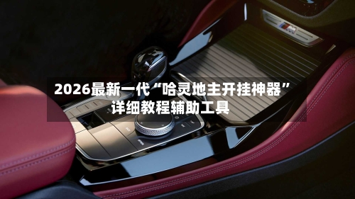 2026最新一代“哈灵地主开挂神器”详细教程辅助工具-第3张图片